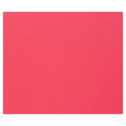 Tulipe Cardboard 160G bright red 25 sheets (19.7 x 25.6 in)