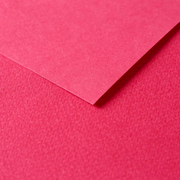 Tulipe Cardboard 160G bright red 25 sheets (19.7 x 25.6 in)