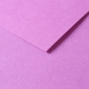 Tulipe Cardboard 160G lilac 25 sheets (19.7 x 25.6 in)