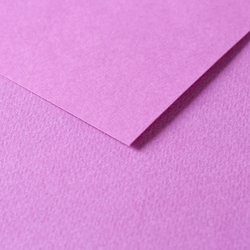 Tulipe Cardboard 160G lilac 25 sheets (19.7 x 25.6 in)