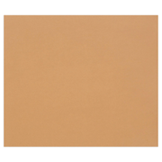 Tulipe Cardboard 160G brown 25 sheets (19.7 x 25.6 in)