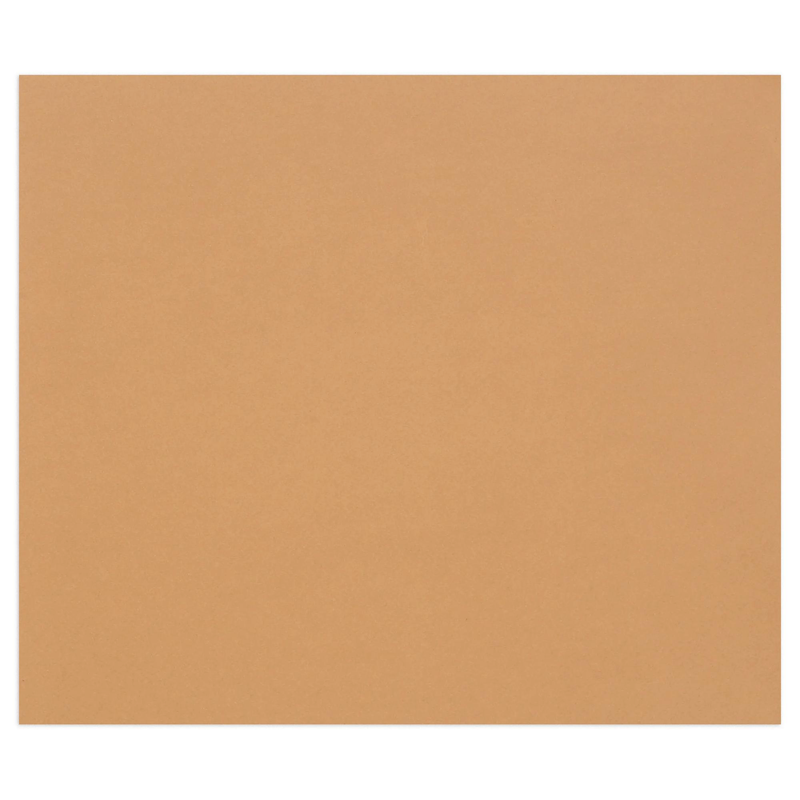 Tulipe Cardboard 160G brown 25 sheets (19.7 x 25.6 in)