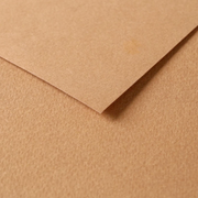 Tulipe Cardboard 160G brown 25 sheets (19.7 x 25.6 in)