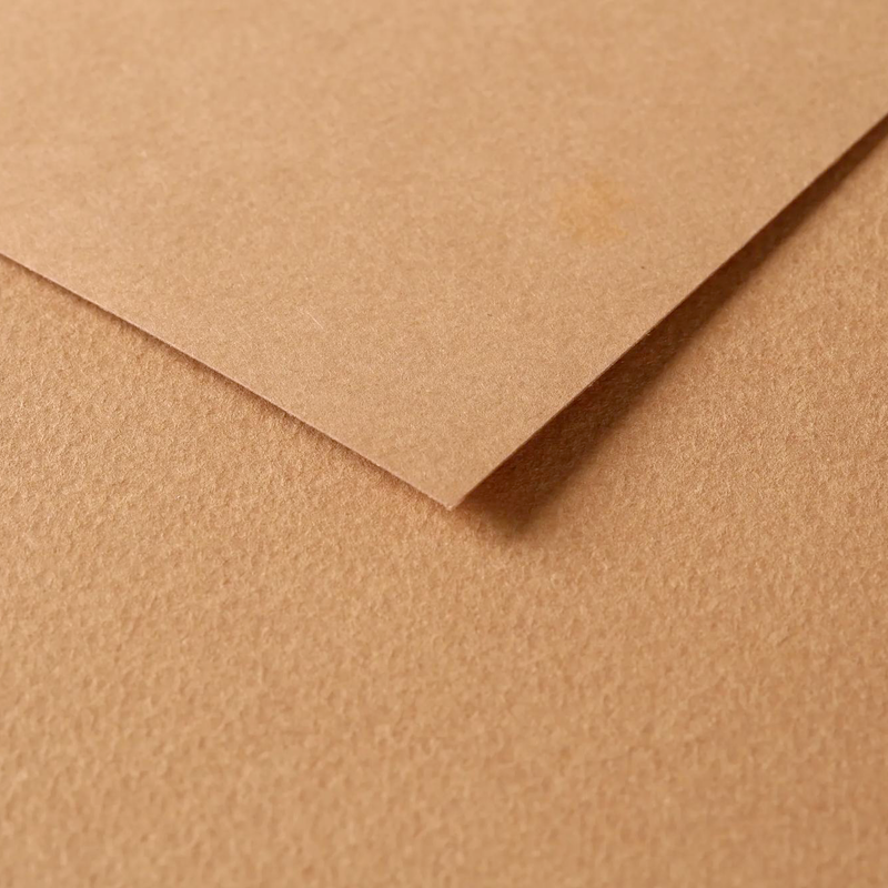 Tulipe Cardboard 160G brown 25 sheets (19.7 x 25.6 in)