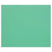 Tulipe Cardboard 160G dark green 25 sheets (19.7 x 25.6 in)