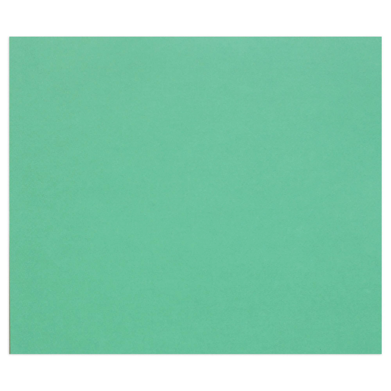 Tulipe Cardboard 160G dark green 25 sheets (19.7 x 25.6 in)