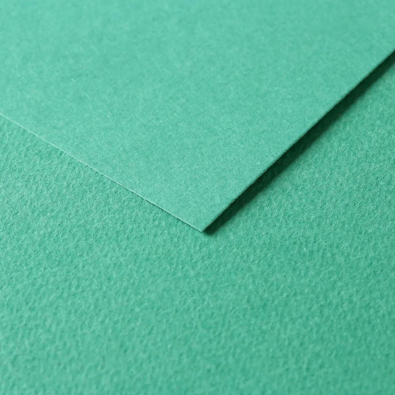 Tulipe Cardboard 160G dark green 25 sheets (19.7 x 25.6 in)