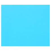 Tulipe Cardboard 160G turquoise 25 sheets (19.7 x 25.6 in)
