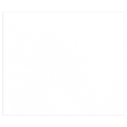 Tulipe Cardboard 160G white 25 sheets (19.7 x 25.6 in)