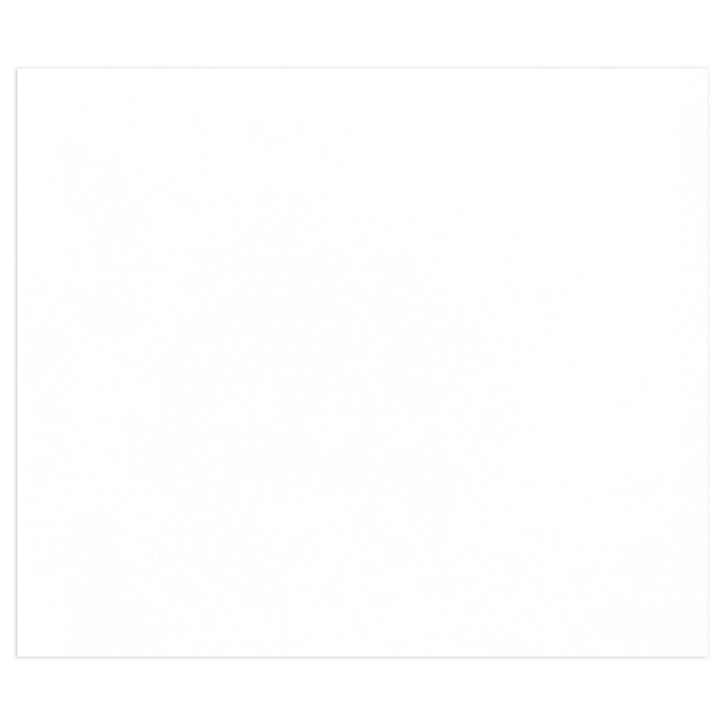 Tulipe Cardboard 160G white 25 sheets (19.7 x 25.6 in)