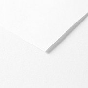 Tulipe Cardboard 160G white 25 sheets (19.7 x 25.6 in)