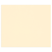 Tulipe Cardboard 160G ivory 25 sheets (19.7 x 25.6 in)