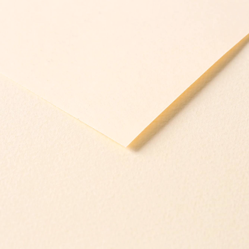 Tulipe Cardboard 160G ivory 25 sheets (19.7 x 25.6 in)