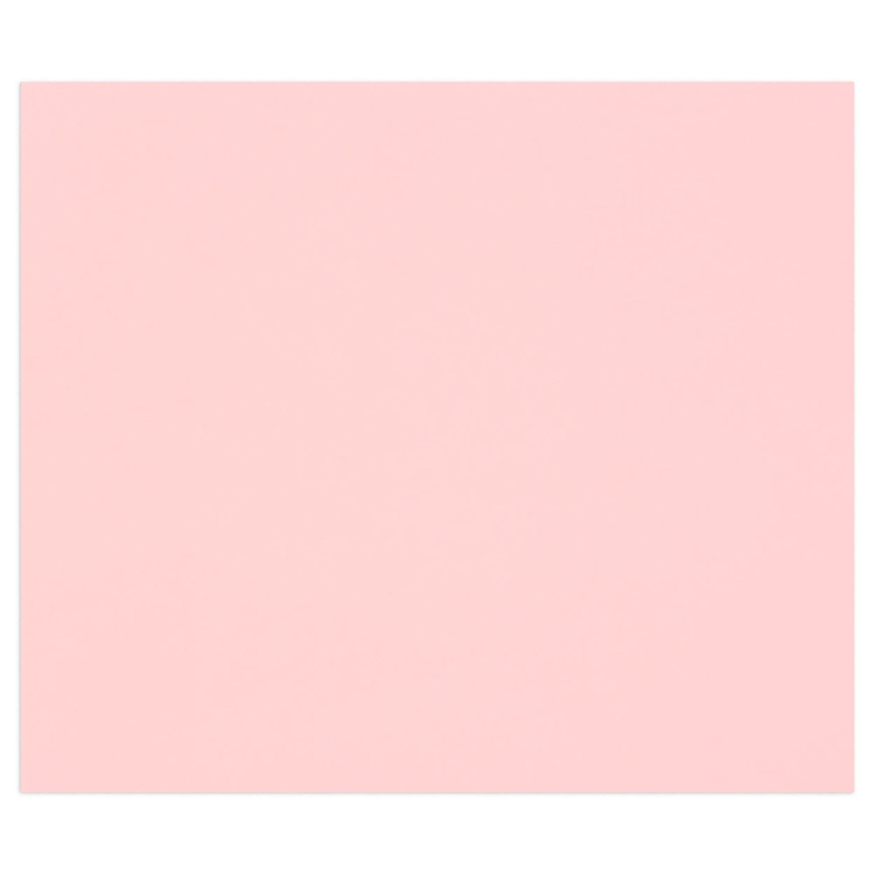Tulipe Cardboard 160G pale pink 25 sheets (19.7 x 25.6 in)
