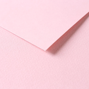 Tulipe Cardboard 160G pale pink 25 sheets (19.7 x 25.6 in)