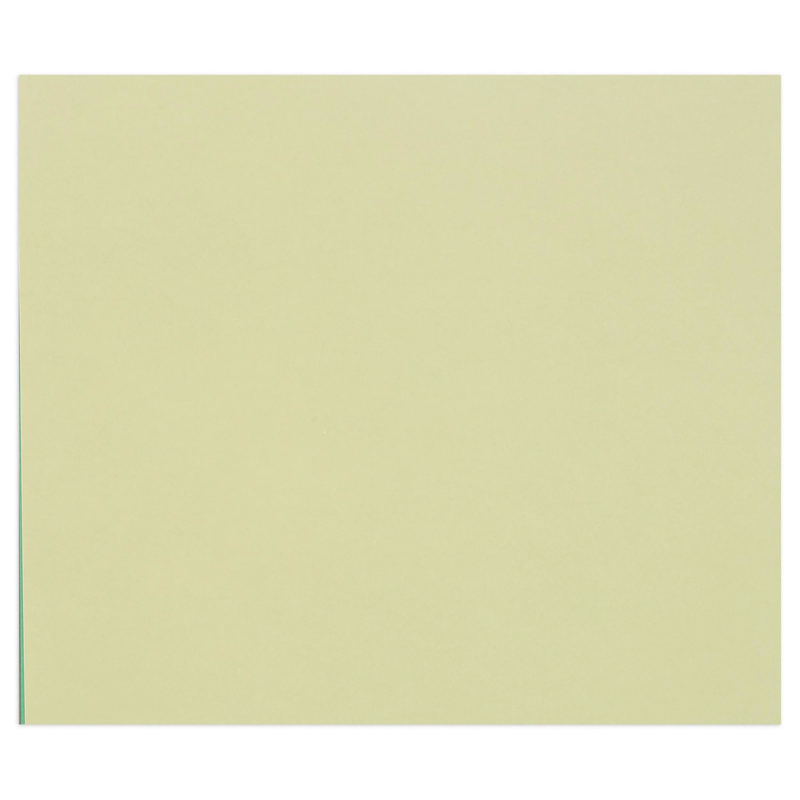 Tulipe Cardboard 160G linden green 25 sheets (19.7 x 25.6 in)