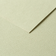 Tulipe Cardboard 160G linden green 25 sheets (19.7 x 25.6 in)