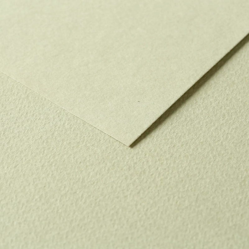 Tulipe Cardboard 160G linden green 25 sheets (19.7 x 25.6 in)