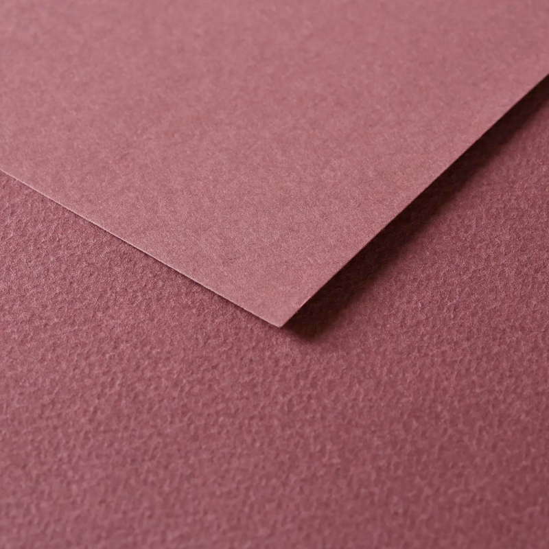 Tulipe Cardboard 160G dark brown 25 sheets (19.7 x 25.6 in)
