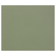 Tulipe Cardboard 160G ocean green 25 sheets (19.7 x 25.6 in)