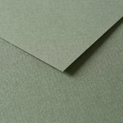 Tulipe Cardboard 160G ocean green 25 sheets (19.7 x 25.6 in)