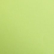 Maya Cardboard 270G moss green 25 sheets (19.7 x 27.6 in)