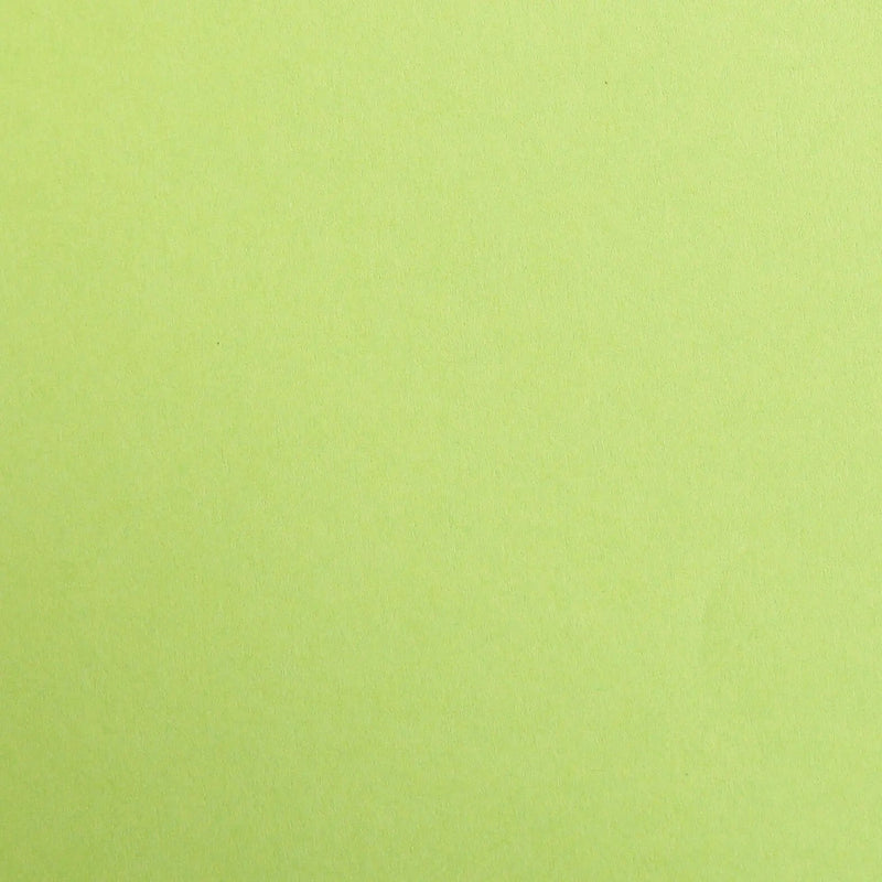 Maya Cardboard 270G moss green 25 sheets (19.7 x 27.6 in)