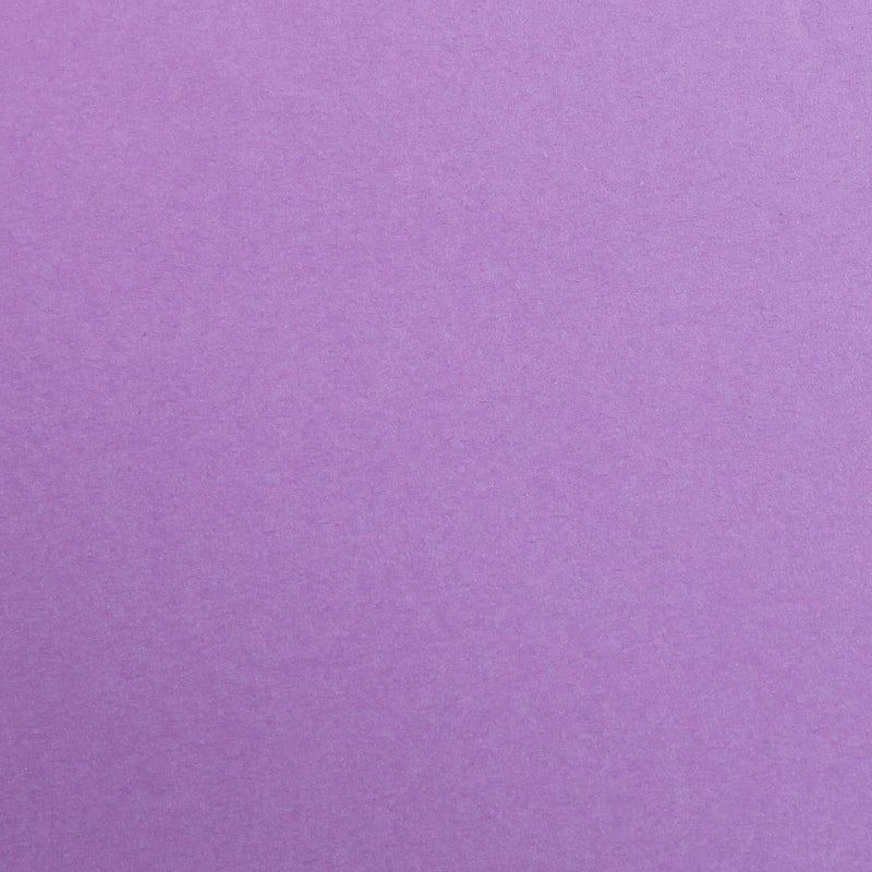 Maya Cardboard 270G purple 25 sheets (19.7 x 27.6 in)
