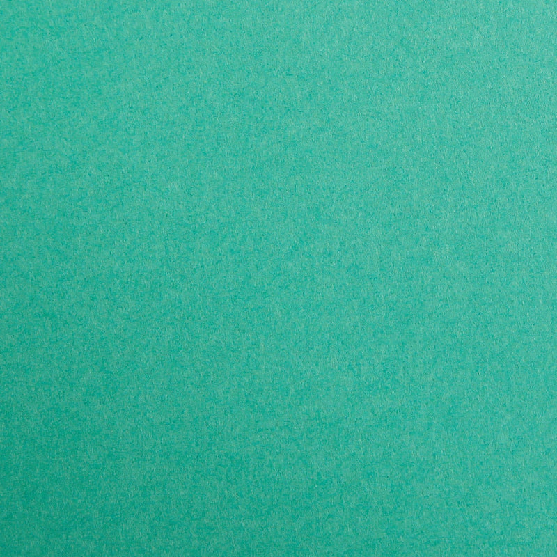 Maya Cardboard 120G dark green 25 sheets A4 (8.25 x 11.75 in)
