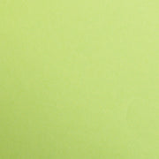Maya Cardboard 270G  moss green 25 Sheets A4 (8.25 x 11.75 in)