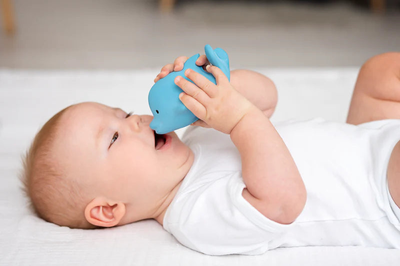 TIKIRI - DOLPHIN 2"H