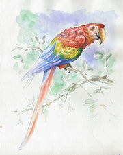 Initiation watercolour pad Animals 15 sheets (2 sheets x 6 designs) 300G (11.8 x 15.7 in)