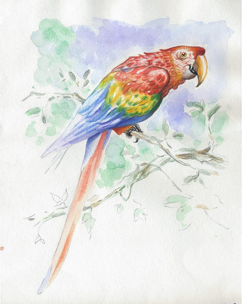 Initiation watercolour pad Animals 15 sheets (2 sheets x 6 designs) 300G (11.8 x 15.7 in)