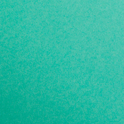 Maya Cardboard 185G pine green 25 sheets (19.7 x 27.6 in)