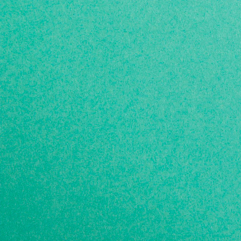 Maya Cardboard 185G pine green 25 sheets (19.7 x 27.6 in)