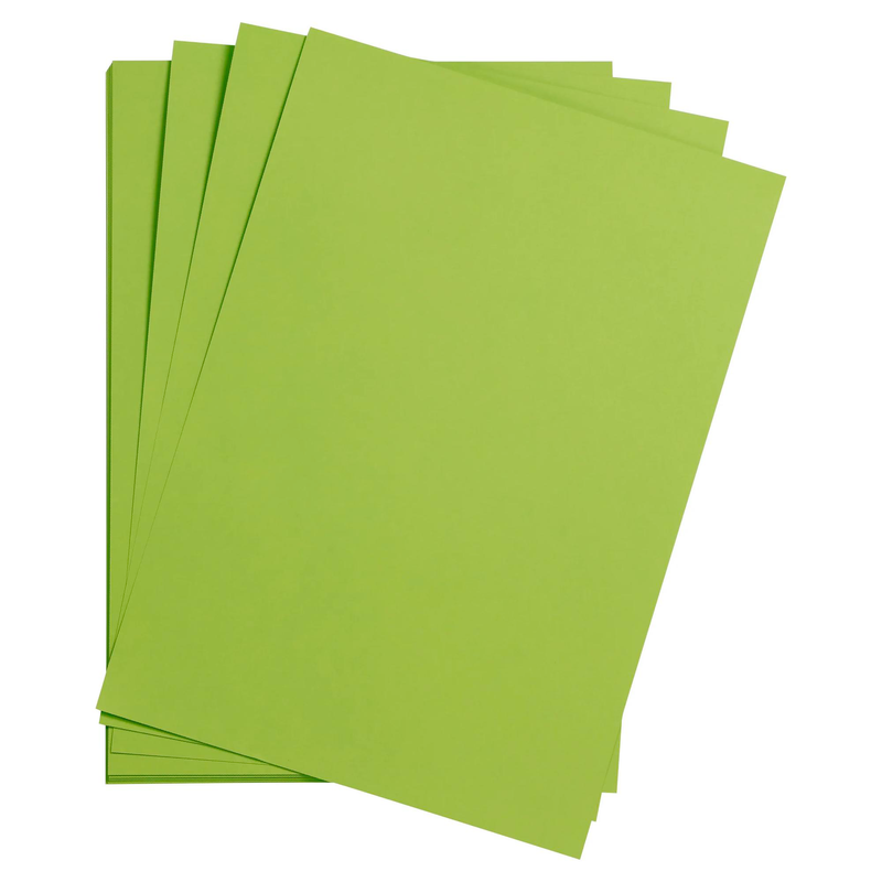 Maya Cardboard 185G mossy green 25 sheets (19.7 x 27.6 in)