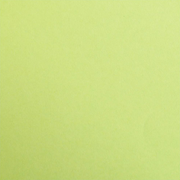 Maya Cardboard 185G mossy green 25 sheets (19.7 x 27.6 in)