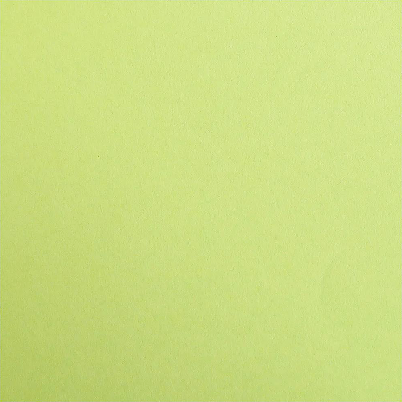 Maya Cardboard 185G mossy green 25 sheets (19.7 x 27.6 in)