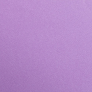 Maya Cardboard 185G violet 25 sheets (19.7 x 27.6 in)