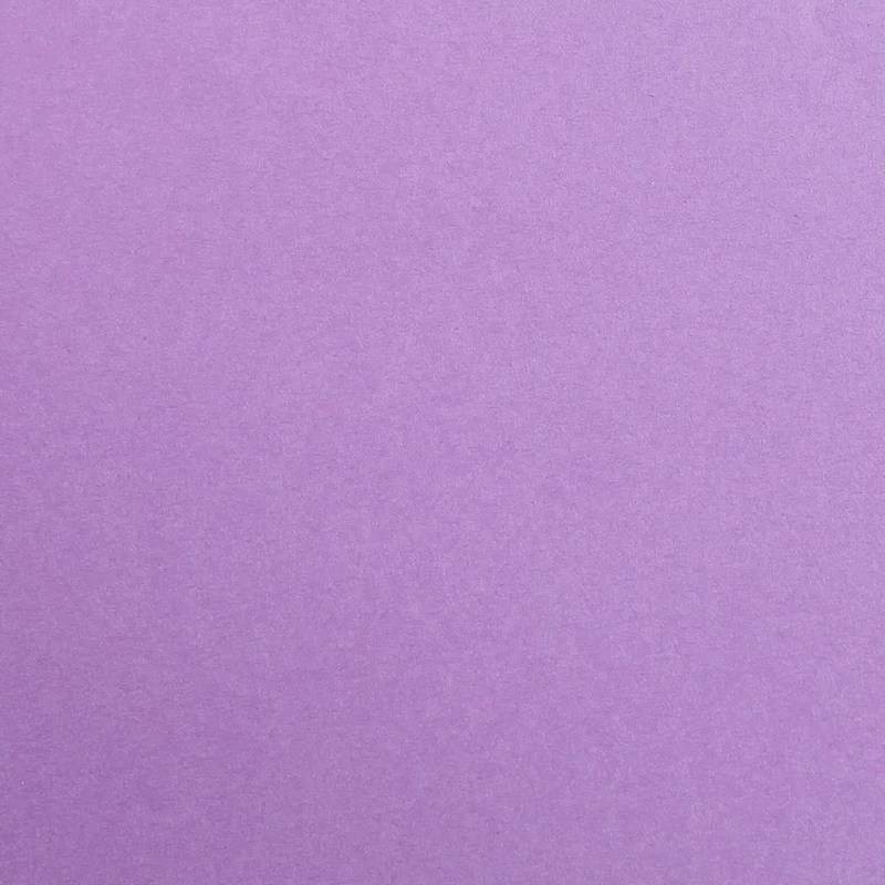 Maya Cardboard 185G violet 25 sheets (19.7 x 27.6 in)