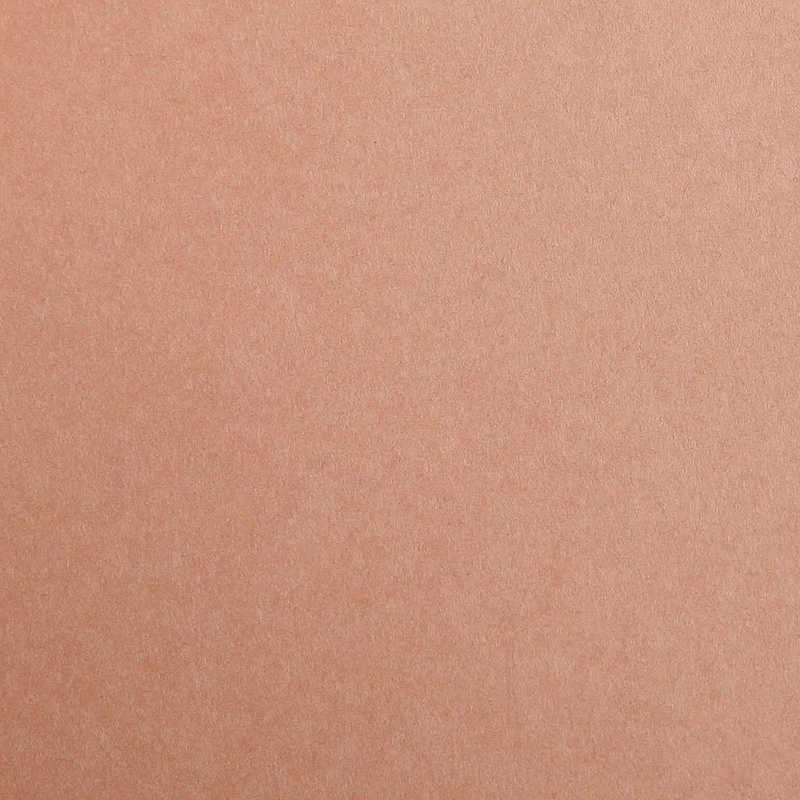 Maya Cardboard 185G brown 25 sheets (19.7 x 27.6 in)