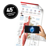 ABACUS - Virtual Reality - HUMAN BODY - Limolin 