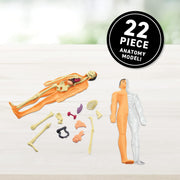 ABACUS - Virtual Reality - HUMAN BODY - Limolin 