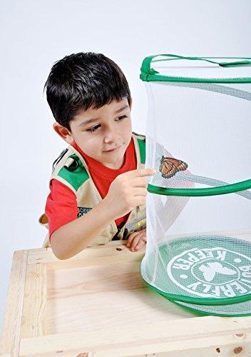 ALEX - Bys Butterfly Habitat - Limolin 