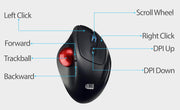 Adesso - Trackball Mouse Wireless Ergonomic iMouse T30 7 Buttons - Black - Limolin 