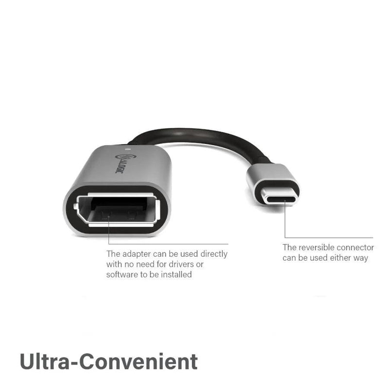 Alogic - Adapter USB-C Male to DisplayPort Female 6in 4K Ultra HD - Grey - Limolin 