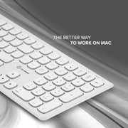 Alogic - Keyboard Wireless MacOS USB-C Rechargeable Echelon MAC- White - Limolin 