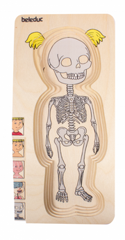 Beleduc - Body - Puzzle - Girl - Limolin 