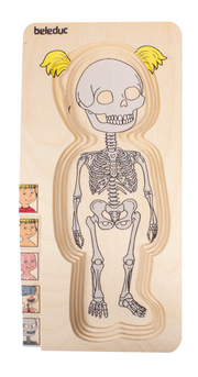 Beleduc - Body - Puzzle - Girl - Limolin 