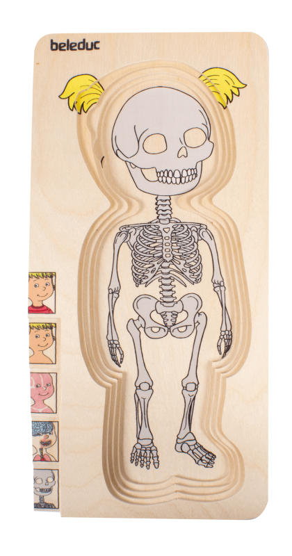 Beleduc - Body - Puzzle - Girl - Limolin 